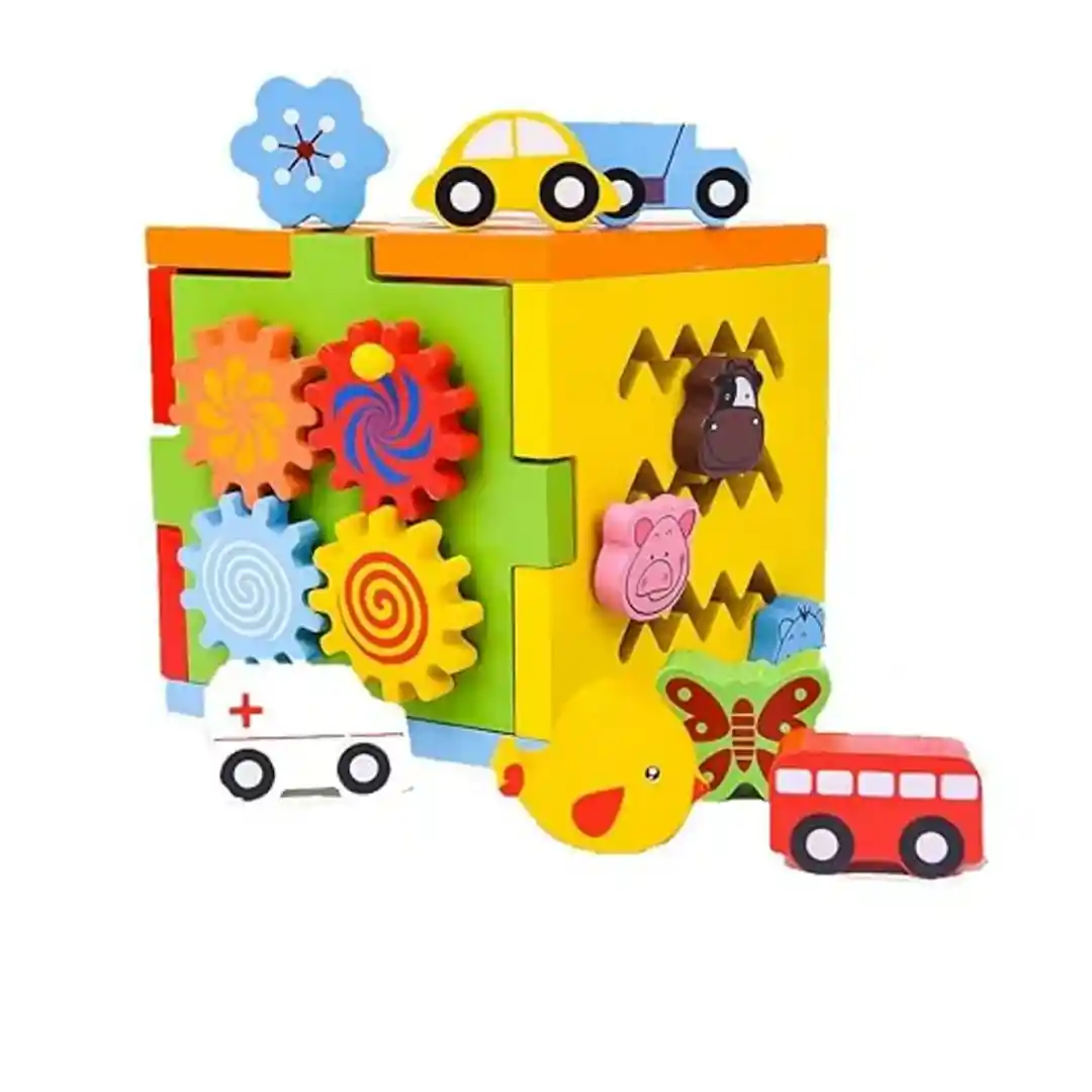 Multifunctional Intelligence Box